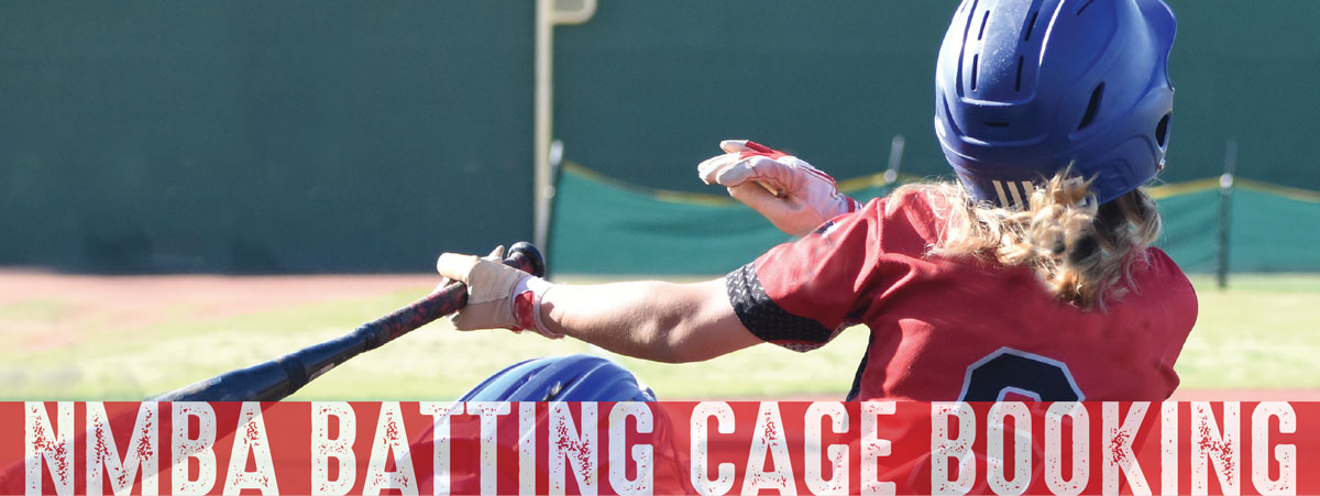 batting-cage-banner