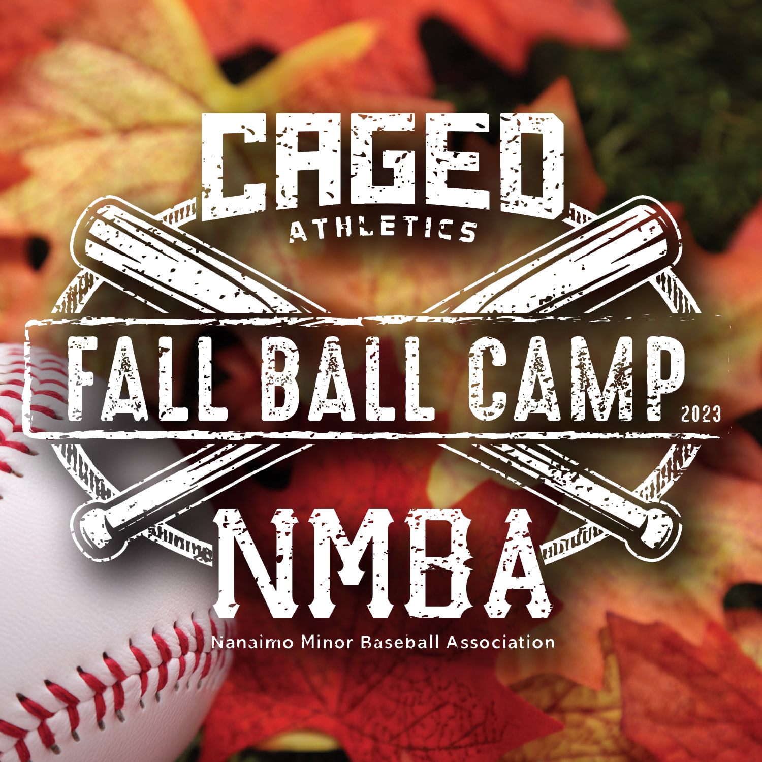 Fall Ball 2023 -1080x1080 - IG post image