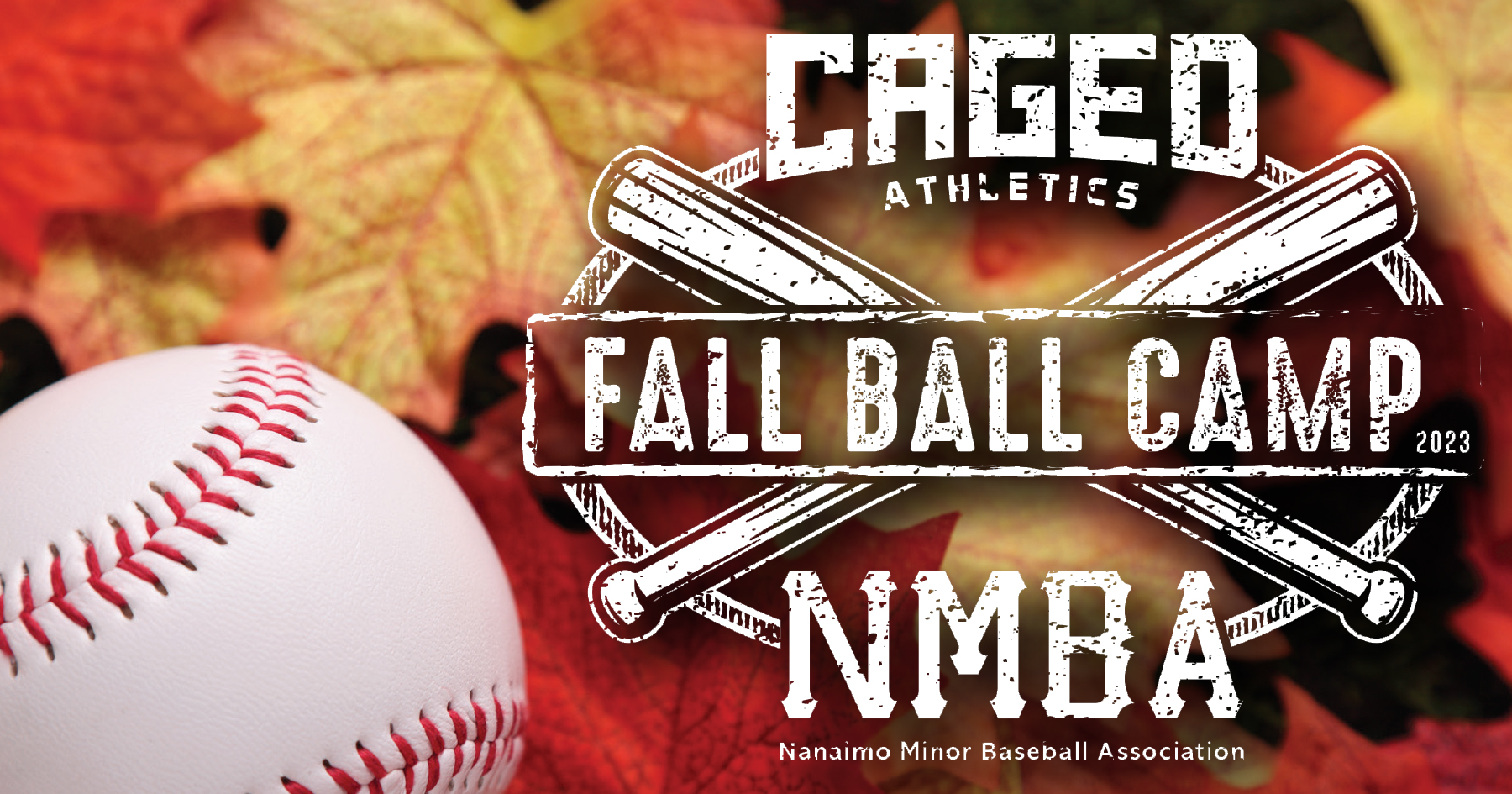 Fall Ball 2023 -1200x630 - FB post image Fall Ball 2023 -1200x630 - FB post image